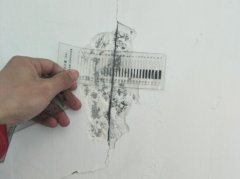 上海奉賢倉庫墻體裂縫及混凝土質(zhì)量專項檢測
